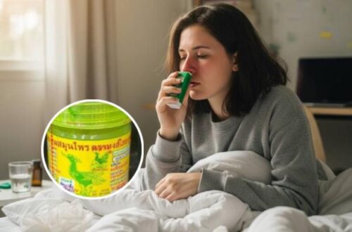 Biaya Inhaler Melambung? Solusi Legal & Aman: Panduan Mengakses Inhaler Generik, Program Bantuan, dan Alternatif Digital di 2025